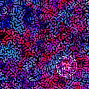 Dresówka pętelka druk cyfrowy Premium - Kolorowa Fantazja